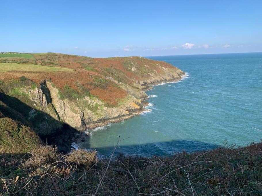 Trefechan Wen Barn Llanwnda  Dış mekan fotoğraf