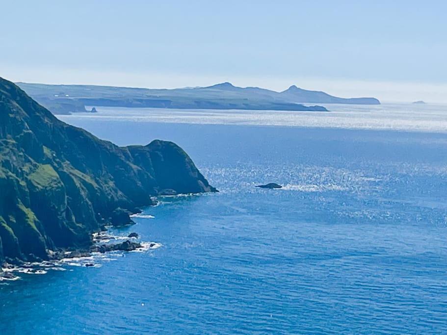 Trefechan Wen Barn Llanwnda  Dış mekan fotoğraf