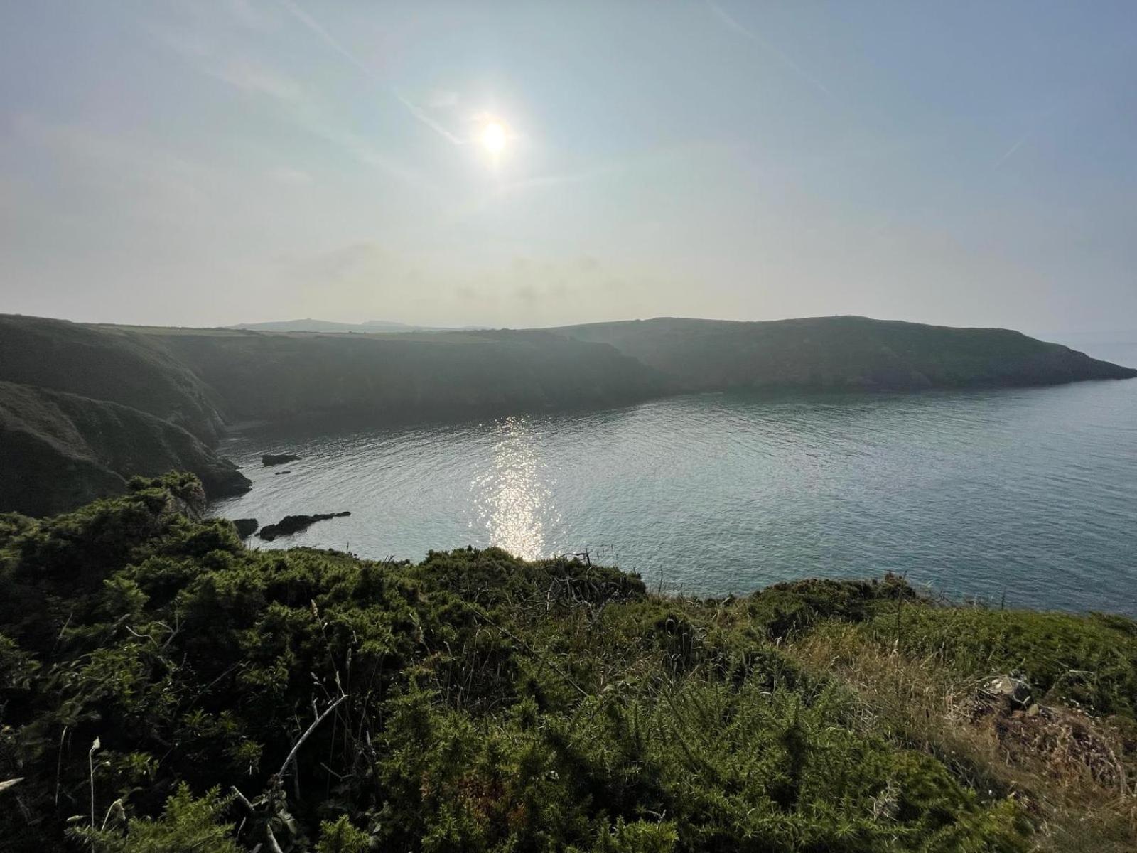 Trefechan Wen Barn Llanwnda  Dış mekan fotoğraf