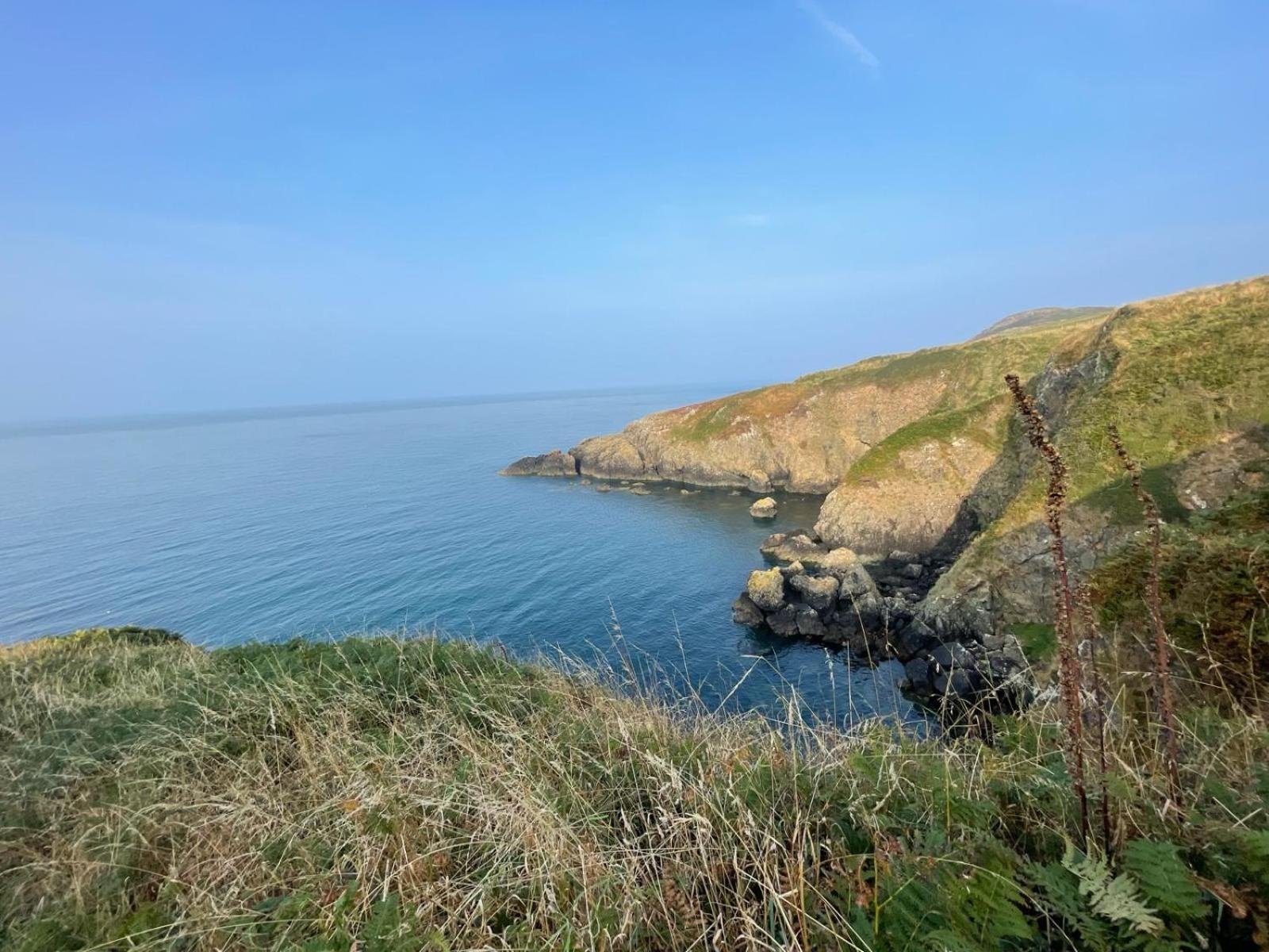 Trefechan Wen Barn Llanwnda  Dış mekan fotoğraf
