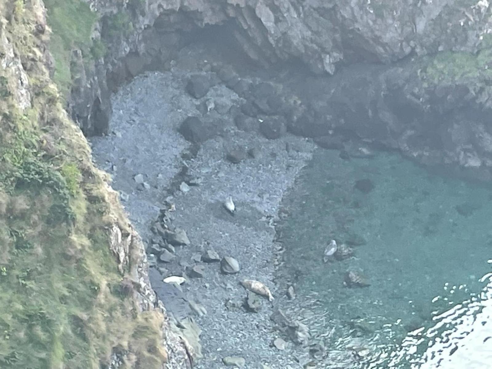 Trefechan Wen Barn Llanwnda  Dış mekan fotoğraf