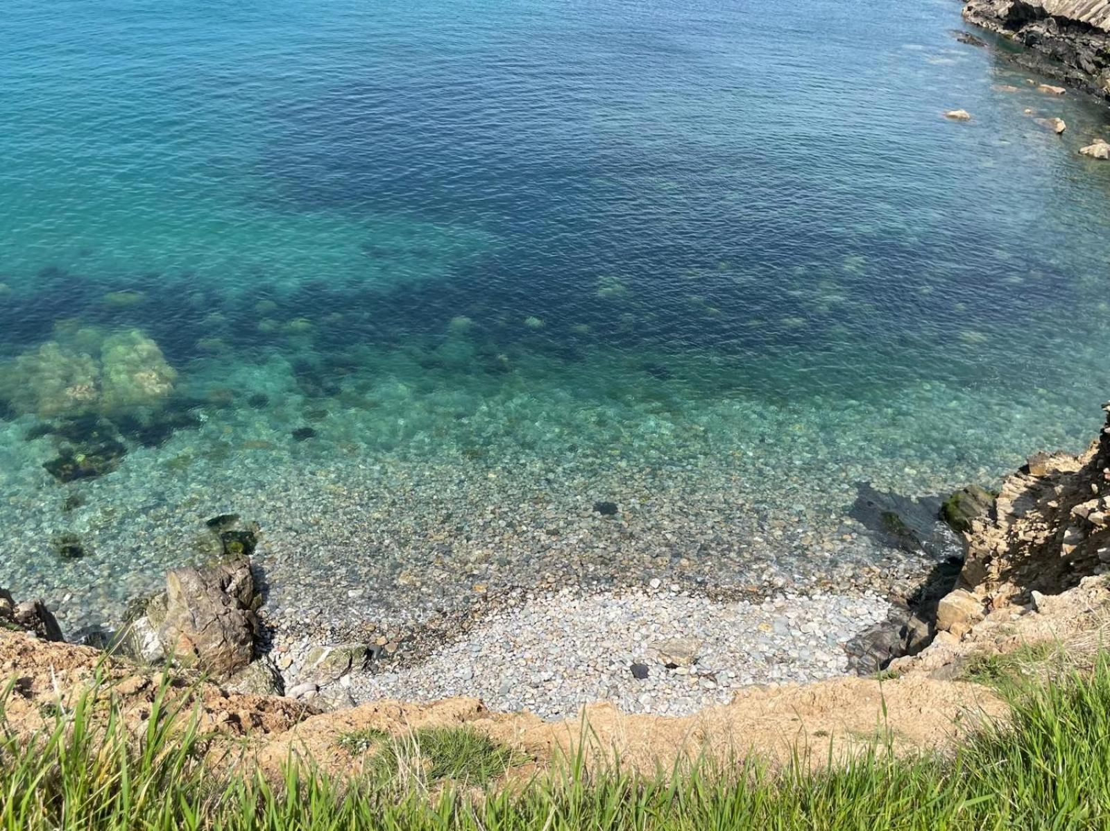 Trefechan Wen Barn Llanwnda  Dış mekan fotoğraf