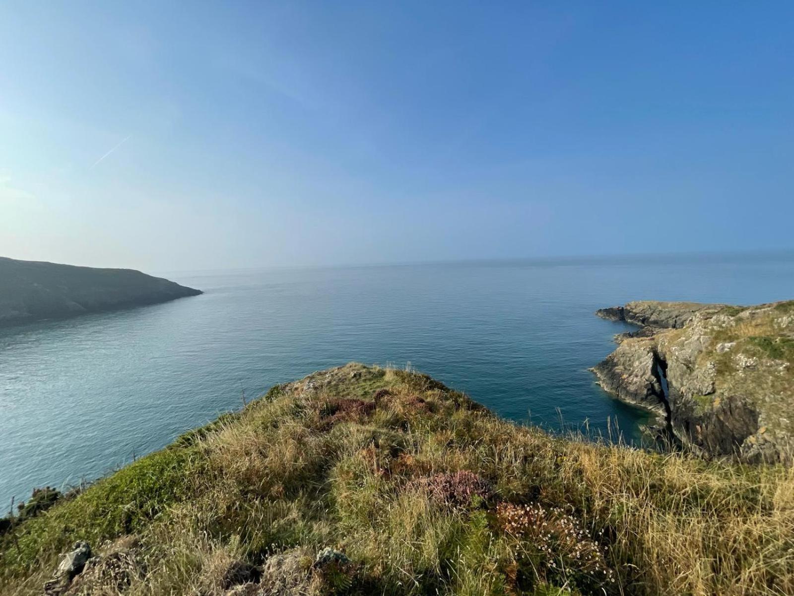 Trefechan Wen Barn Llanwnda  Dış mekan fotoğraf