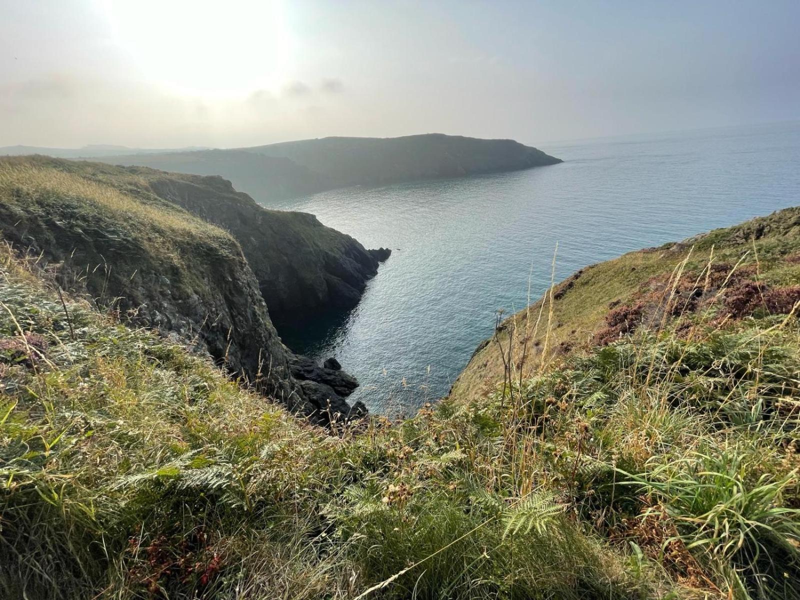 Trefechan Wen Barn Llanwnda  Dış mekan fotoğraf