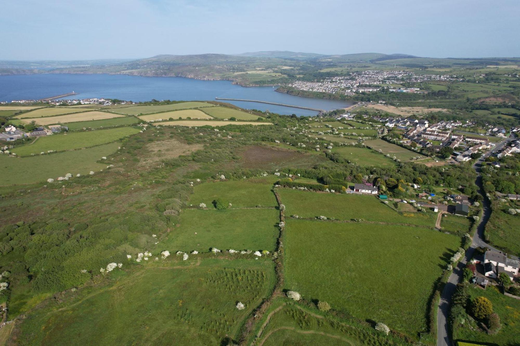 Trefechan Wen Barn Llanwnda  Dış mekan fotoğraf