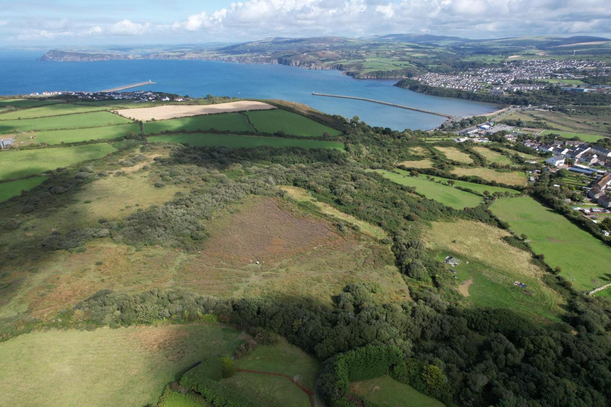 Trefechan Wen Barn Llanwnda  Dış mekan fotoğraf